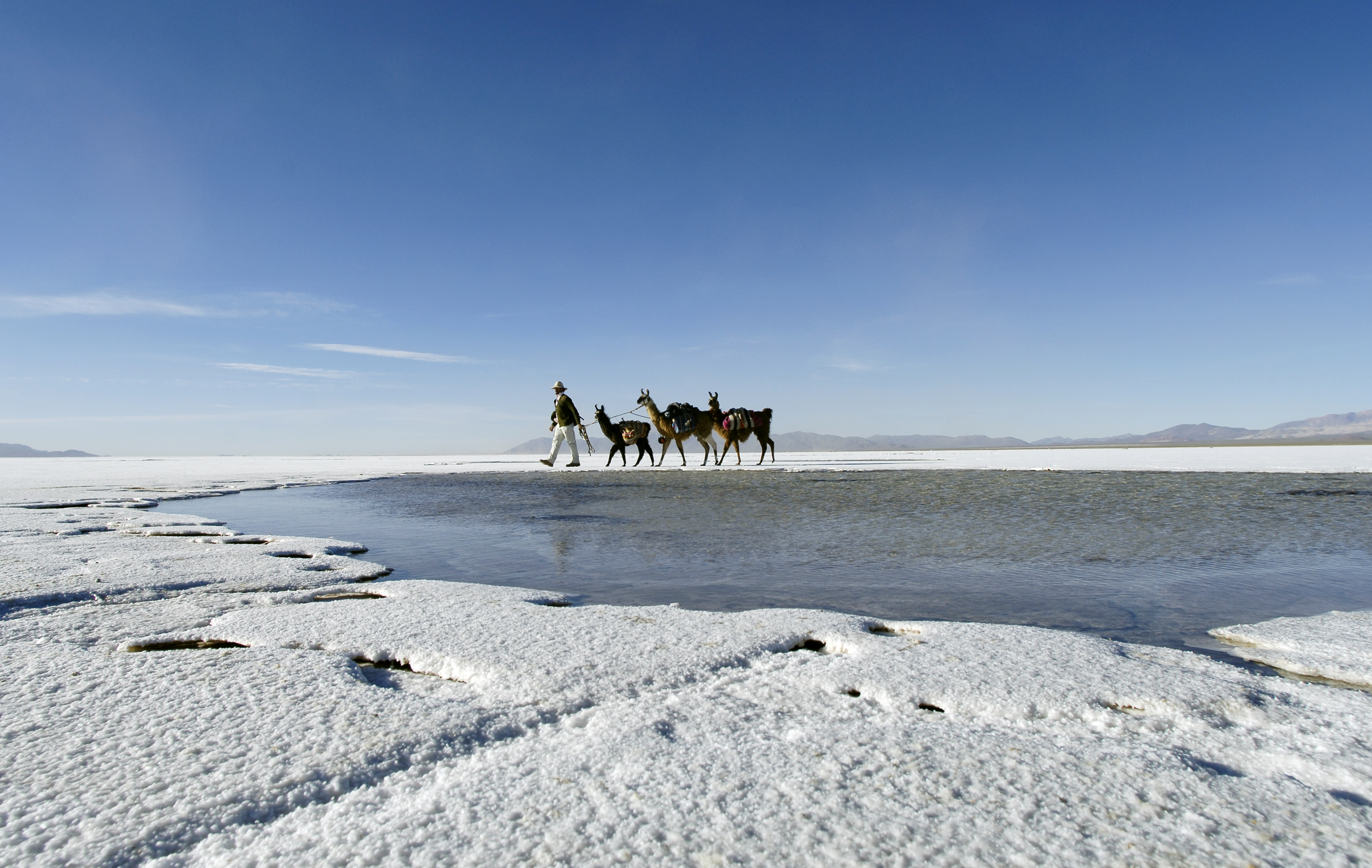 wp-content/uploads/itineraries/Argentina/Northwest Argentina/salinas con llamas.jpg